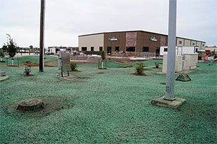 Hydroseeding & Sod