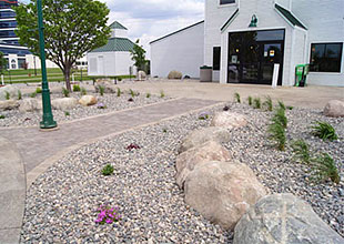 Rock, Hardwood and Boulders