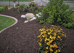 Rock, Hardwood and Boulders