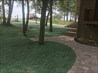 Hydroseeding &amp; Sod