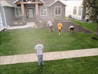 Hydroseeding &amp; Sod