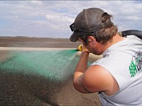 Hydroseeding &amp; Sod