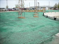 Hydroseeding &amp; Sod