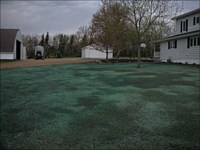 Hydroseeding &amp; Sod