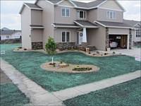 Hydroseeding &amp; Sod