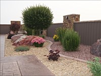 Perennials, Shrubs and Trees