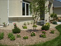 Perennials, Shrubs and Trees