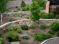 Perennials, Shrubs and Trees