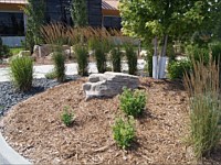 Perennials, Shrubs and Trees