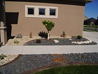 Rock, Hardwood and Boulders