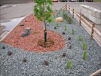 Rock, Hardwood and Boulders