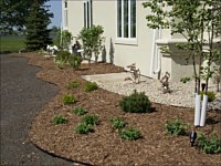 Rock, Hardwood and Boulders