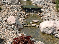 Water Features